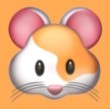羞羞网站APPAPP应用